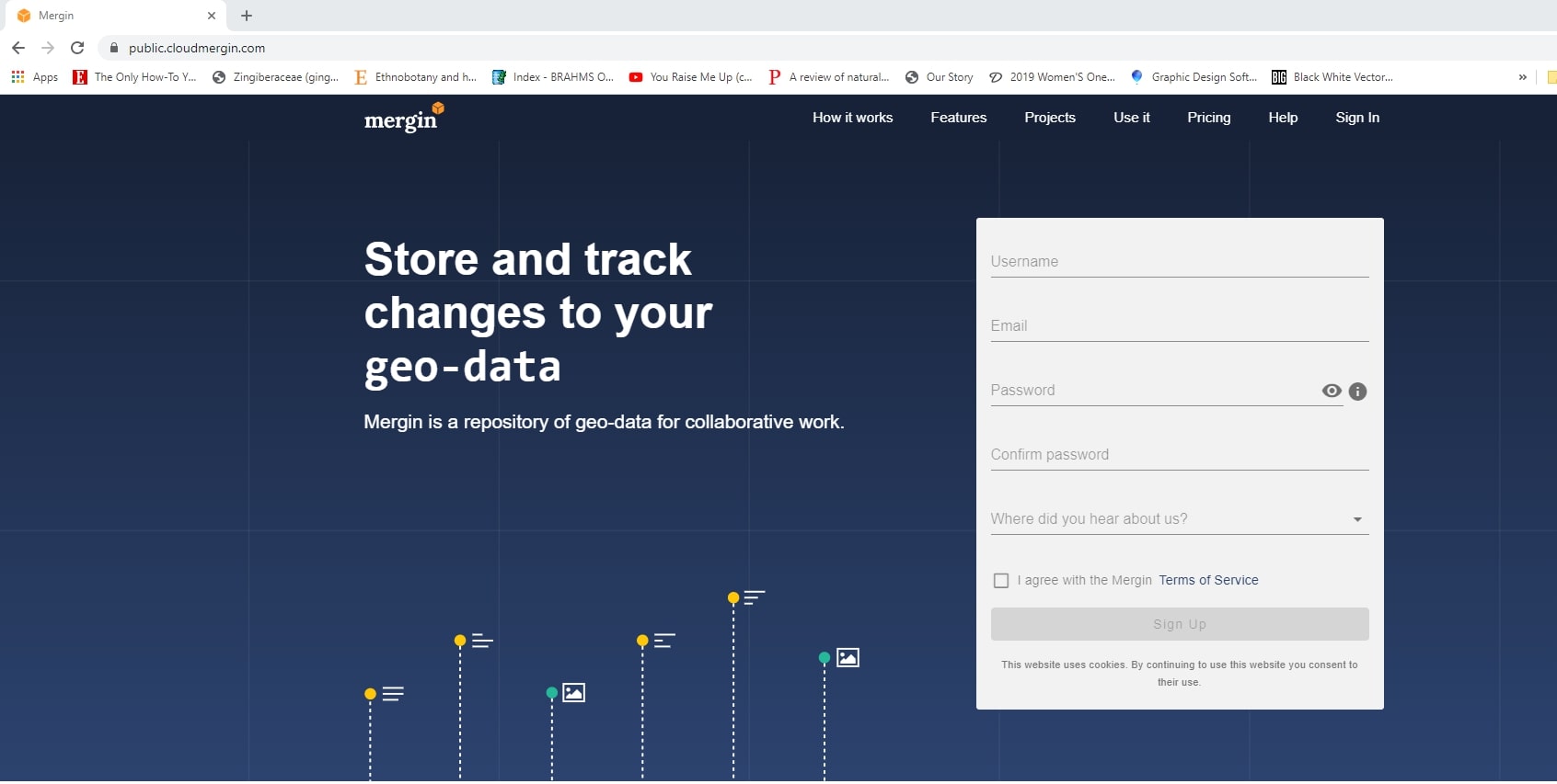 The Kartoza Intern's Journey Creating a Field Survey with QGIS, Mergin and Input - Cover Image